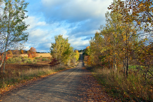 Country Roads in the Fall Country Roads in the Fall