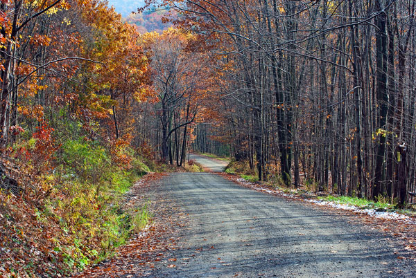 Country Roads in the Fall Country Roads in the Fall