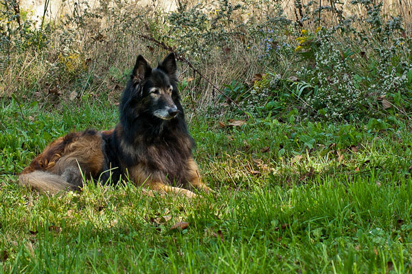 Kristy taking a rest