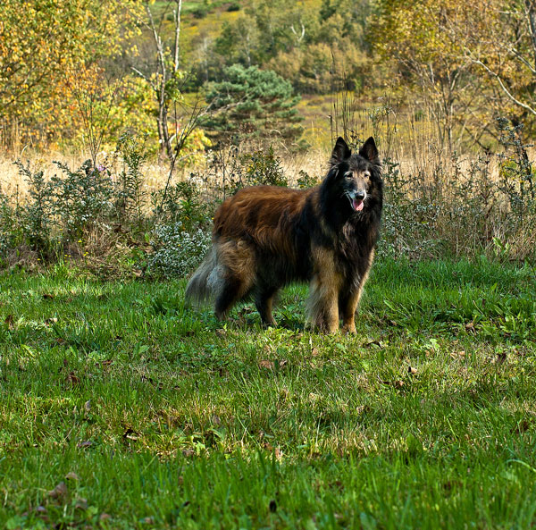 Kristy standing in the field