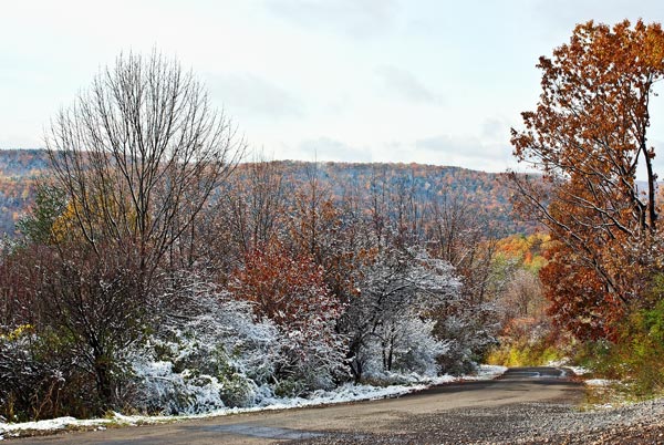 First Snow of the Season First Snow of the Season
