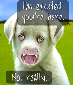 I'm excited your here