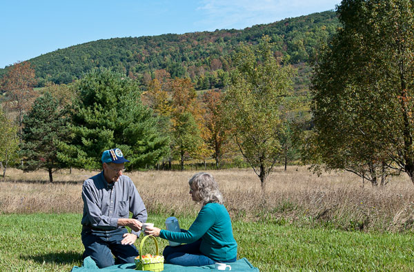 country picnic