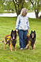 Our Dogs